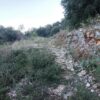 Κωδικός: W303, Ήπειρος, Μπιζάνιο, 523 τ.μ., €32000
