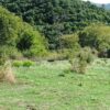 Κωδικός: W304, Ήπειρος, Σύβοτα, 23066 τ.μ., €210000