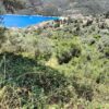 Κωδικός: W281, Νησιά Ιονίου, Λευκάδα, 2946 τ.μ., €160000