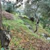 Κωδικός: W279, Νησιά Ιονίου, Λευκάδα, 500 τ.μ., €90000