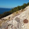 Κωδικός: W060, Νησιά Ιονίου, Λευκάδα, 4200 τ.μ., €100000