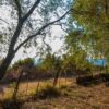 Κωδικός: W125, Ήπειρος, Πάργα, 25450 τ.μ., €2000000