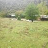 Κωδικός: W093, Ήπειρος, Τύμφη, 1412 τ.μ., €80000