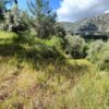 Κωδικός: W276, Νησιά Ιονίου, Λευκάδα, 2036 τ.μ., €170000