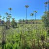 Κωδικός: W270, Ήπειρος, Ιωάννινα, 551 τ.μ., €79000