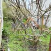 Κωδικός: W323, Ήπειρος, Ανατολή, 214 τ.μ., €40000