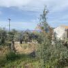 Κωδικός: W320, Νησιά Ιονίου, Λευκάδα, 505 τ.μ., €160000