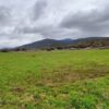 Κωδικός: W138, Ήπειρος, Κεντρικό Ζαγόρι, 43000 τ.μ., €150000