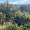 Κωδικός: W181, Νησιά Ιονίου, Λευκάδα, 1551 τ.μ., €175000