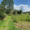 Κωδικός: W233, Νησιά Ιονίου, Λευκάδα, 739 τ.μ., €180000