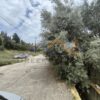 Κωδικός: W288, Νησιά Ιονίου, Λευκάδα, 3553 τ.μ., €240000