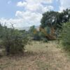 Κωδικός: W349, Ήπειρος, Ιωάννινα, 3207 τ.μ., €60000