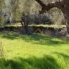 Κωδικός: W342, Νησιά Ιονίου, Λευκάδα, 5348 τ.μ., €200000