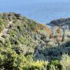 Κωδικός: W344, Νησιά Ιονίου, Λευκάδα, 10723 τ.μ., €250000
