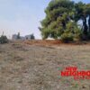 Κωδικός: 22316, Άνοιξη , 893 τ.μ., €390000