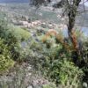 Κωδικός: W340, Νησιά Ιονίου, Λευκάδα, 6341 τ.μ., €270000