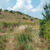 Κωδικός: W354, Ήπειρος, Ανατολή, 5065 τ.μ., €70000