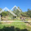 Κωδικός Ακινήτου 1807893 , Μεσολόγγι, 821 τ.μ. €20000