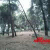 Κωδικός: 20582, Αχαρνές Βαρυμπόμπη, 4700 τ.μ., €1800000