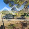 Κωδικός Ακινήτου 1976801 , Μεσολόγγι, 2244 τ.μ., €60000