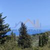 Κωδικός: W355, Νησιά Ιονίου, Λευκάδα, 3014 τ.μ., €170000