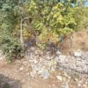 Κωδικός: W362, Ήπειρος, Κεντρικό Ζαγόρι, 477 τ.μ., €89000