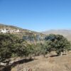 Κωδικός: 144980, Τήνος Αγάπη, 2656 τ.μ., €195000
