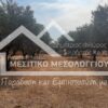 Κωδικός Ακινήτου 60858 , Μεσολόγγι, 2000 τ.μ. €13000