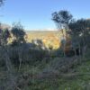 Κωδικός: W360, Νησιά Ιονίου, Λευκάδα, 5085 τ.μ., €50000