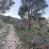 Κωδικός: W360, Νησιά Ιονίου, Λευκάδα, 5085 τ.μ., €50000