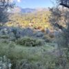 Κωδικός: W360, Νησιά Ιονίου, Λευκάδα, 5085 τ.μ., €50000