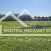 Κωδικός Ακινήτου 2347522 , Μεσολόγγι, 4445.07 τ.μ. €10000