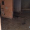 Ημιυπόγεια αποθήκη  90τμ.   30000 ευρώ  κωδ 4308