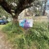 Κωδικός: 2111259 , Καλαμάτα , 260 τ.μ., €120000