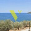Νησιά Αργοσαρωνικού, Πόρος Λεμονοδάσος, 15000 τ.μ., €3000000