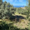 Κωδικός: W247, Νησιά Ιονίου, Λευκάδα, 2044 τ.μ., €125000