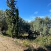 Κωδικός: W247, Νησιά Ιονίου, Λευκάδα, 2044 τ.μ., €125000