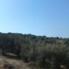 ΠΩΛΕΙΤΑΙ ΟΙΚΟΠΕΔΟ