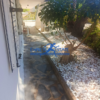 Νέα Μάκρη , 44 τ.μ., €450
