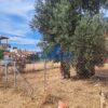 Νέα Μάκρη Κέντρο, 220 τ.μ., €50000