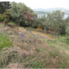 Κωδικός: W380, Νησιά Ιονίου, Λευκάδα, 3626 τ.μ., €220000