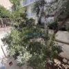 Κωδικός: , Κυψέλη , 61 τ.μ., €130000