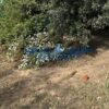 Κωδικός: , Χαλάνδρι Πάτημα, 318 τ.μ., €400000