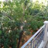 Κωδικός: , Άλιμος , 85 τ.μ., €1200