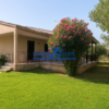 Μαραθώνας Άγιος Παντελεήμονας, 60 τ.μ., €600