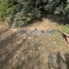 Κωδικός: 144460, Αταλάντη Τραγάνα, 4855 τ.μ., €300000
