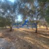 Μαραθώνας Σχινιάς, 265 τ.μ., €420000