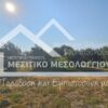 Κωδικός Ακινήτου 2551460 , Μεσολόγγι, 1297 τ.μ. €100000