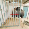 Προάστια Πειραιά, Νίκαια Άγιος Γεώργιος, 450 τ.μ., €500000, Κωδικός 30453