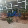 Νέα Μάκρη Ζούμπερι, 28 τ.μ., €300